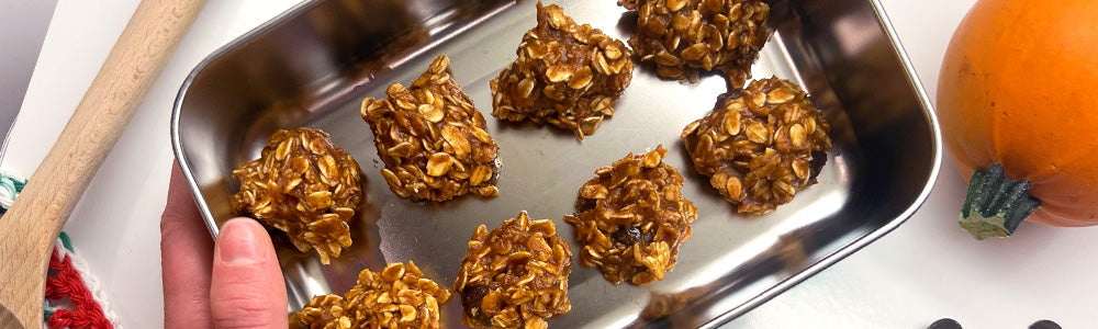 Pumpkin Protein Balls