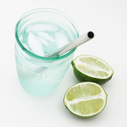 Stainless Steel Straw + Straw Brush