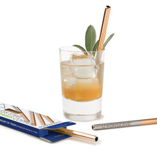 Load image into Gallery viewer, Stainless Steel Mini Straws (Set of 4)