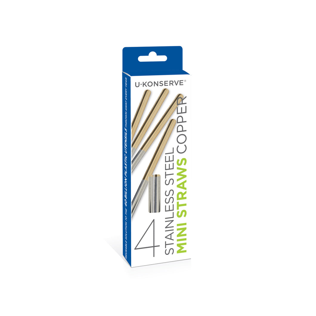 Stainless Steel Mini Straws (Set of 4)