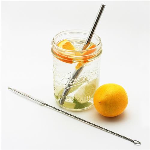 Stainless Steel Straw + Straw Brush